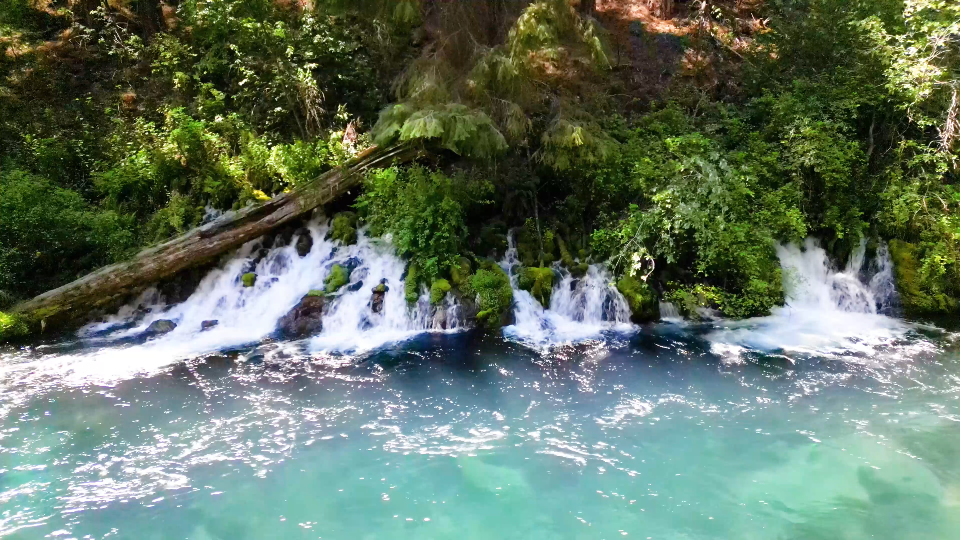 The Metolius spring welling out of the rock through moss at the base of Black Butte